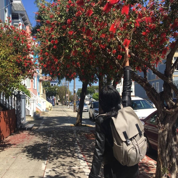 Meet your Posher, Quinny - Picture 2 of 2